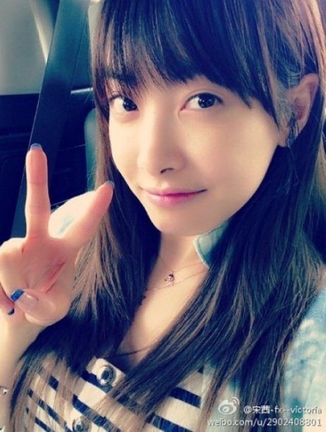 태양에프에스 이미지