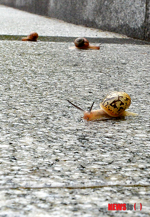 세상구경 이미지