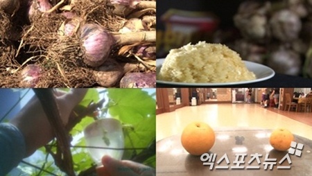 불만제로마트 이미지