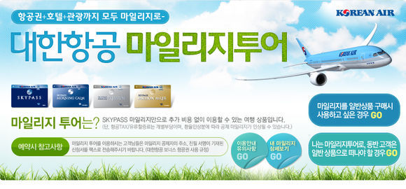 스카이항공투어 이미지