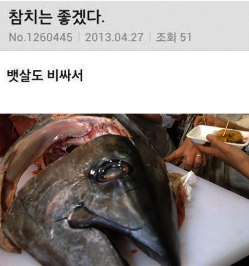 란참치 이미지