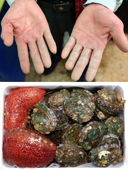 제주수산 이미지