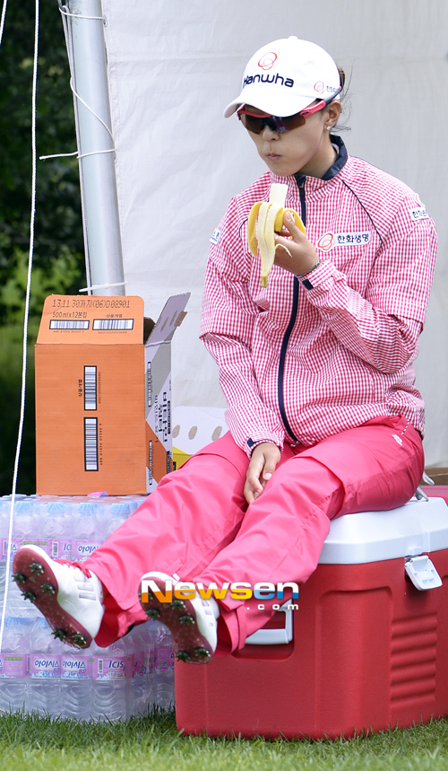 아이스박스 이미지