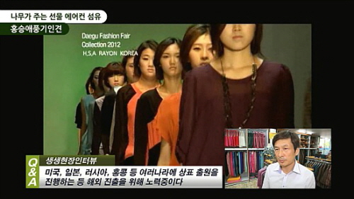 풍기인견나무 이미지