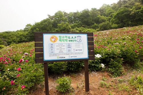 예선한의원 이미지