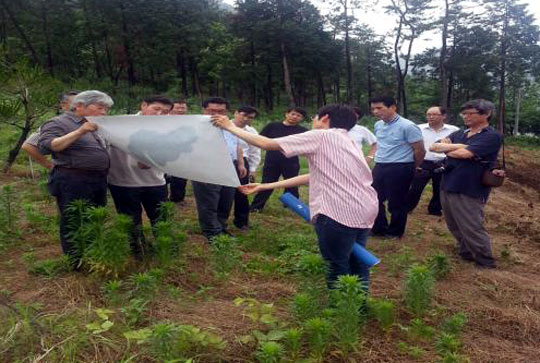 한국컨설턴트석박사협동조합 이미지