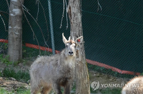 사단법인 대구경북기자협회 이미지