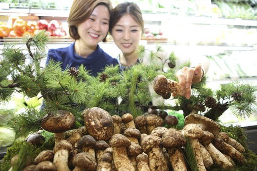 송이유통 이미지