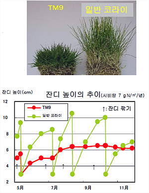 그린티엠 이미지