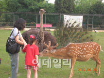 캠핑아웃도어 이미지