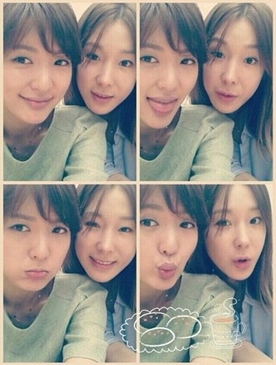 다정 샵 이미지