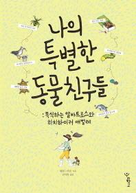 이코노미 이미지