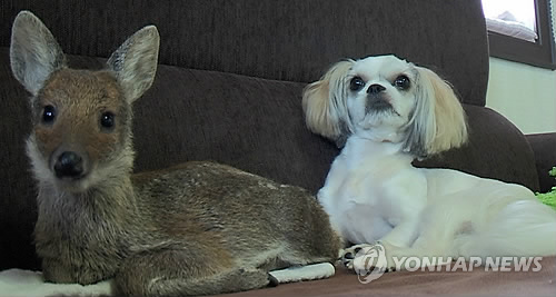 지극정성 이미지