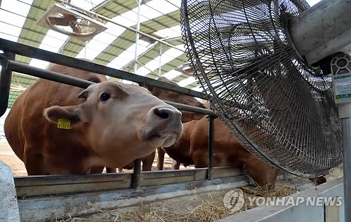주연축산 이미지