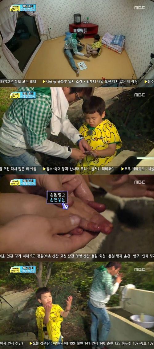 손톱나무 이미지