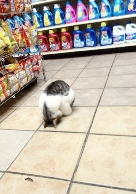 선사마트 이미지