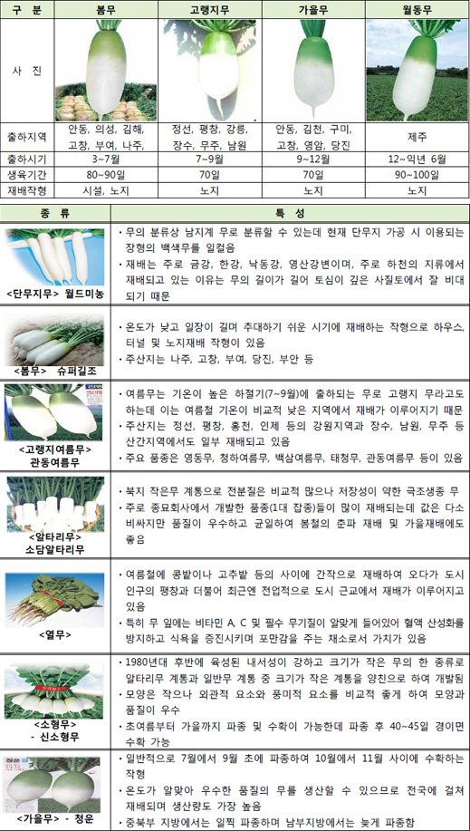식약동원 이미지