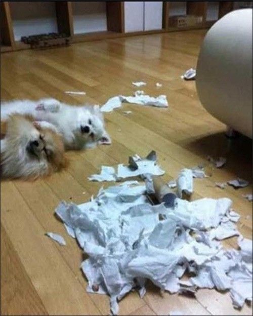 안*한 이미지