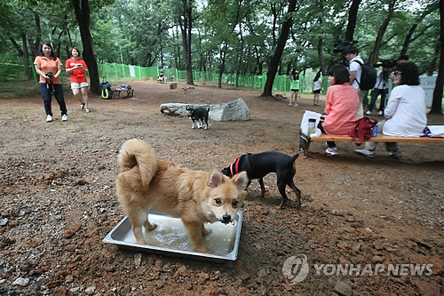 같이 이미지