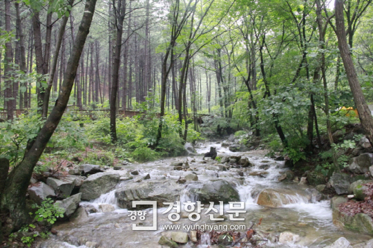 국립자연휴양림관리소(산음자연휴양림) 이미지