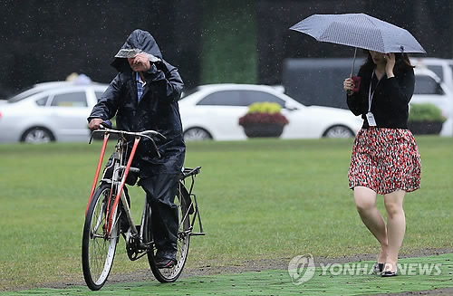 여우비 이미지