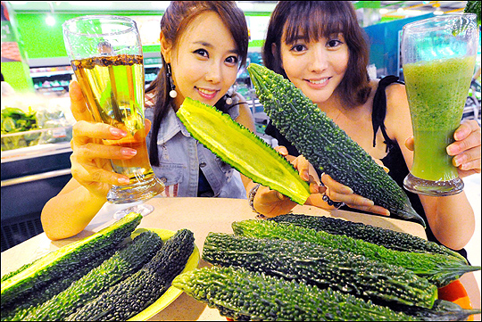 웰빙플러스 이미지