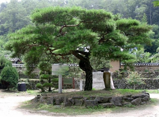 도동유통 이미지