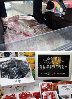 과일판다 이미지