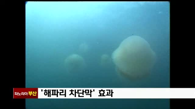 명보수산 이미지