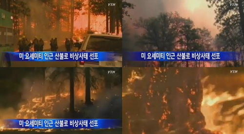(주)네티즌라이프 이미지