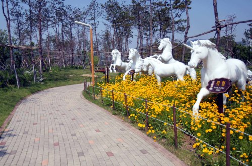 (주)디자인랜드 이미지