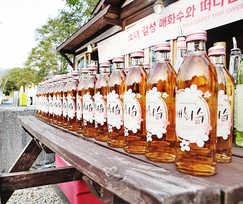 우리트립 이미지