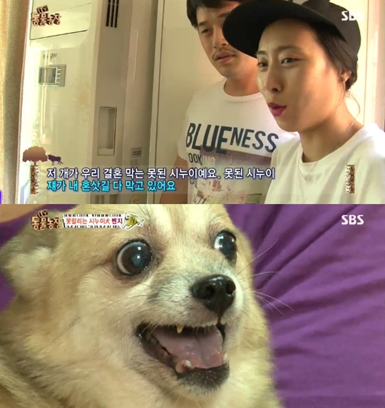 정은농장 이미지