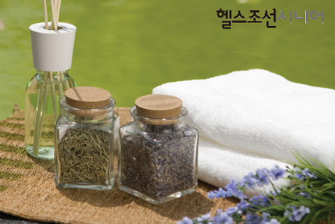 순수테라피 이미지