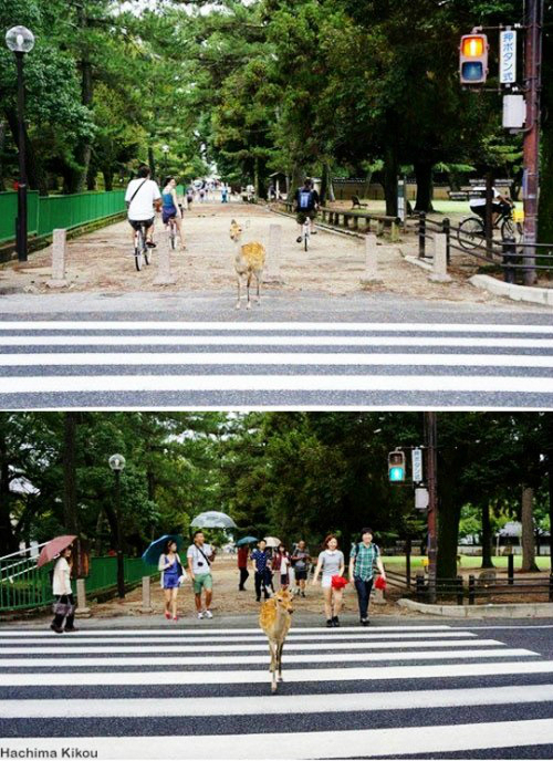불을지키는사람들 이미지