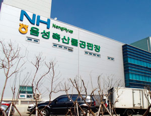 우리유통 이미지