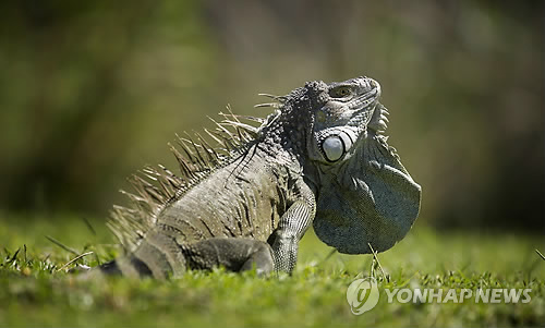햇살그린어린이집 이미지