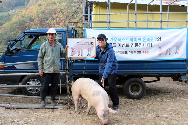 복돼지 이미지
