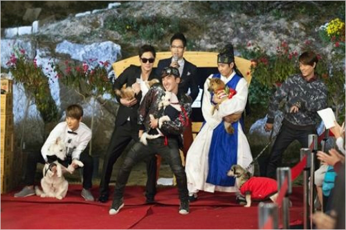 신화기획주 이미지