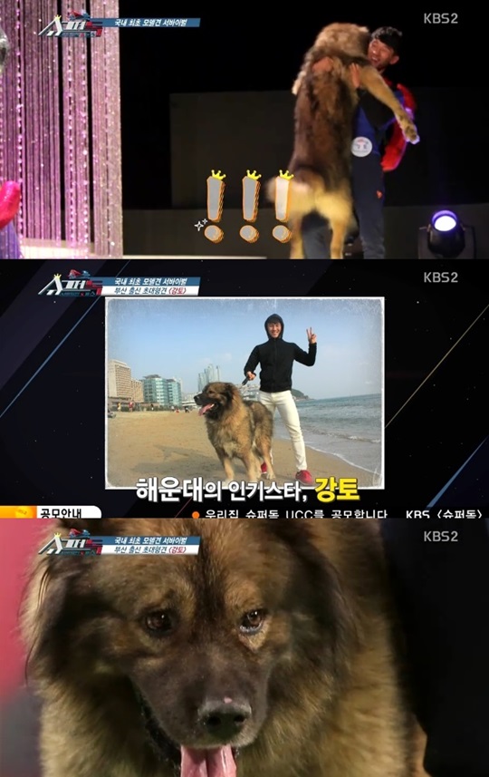강토 이미지