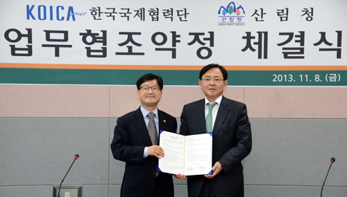 산림개발 이미지