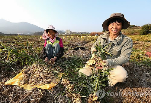 경남생약초 이미지