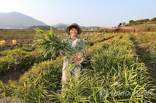 경남생약초 이미지