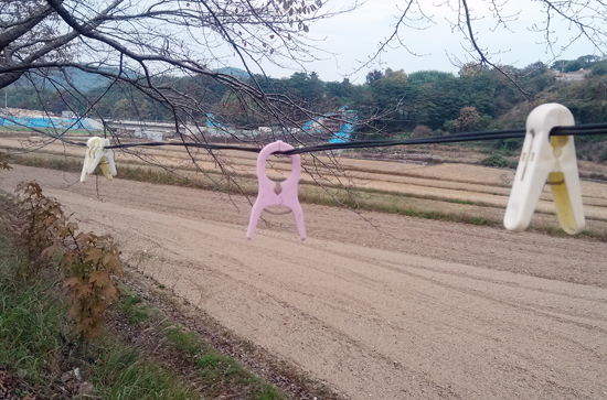 무병장수마을 이미지