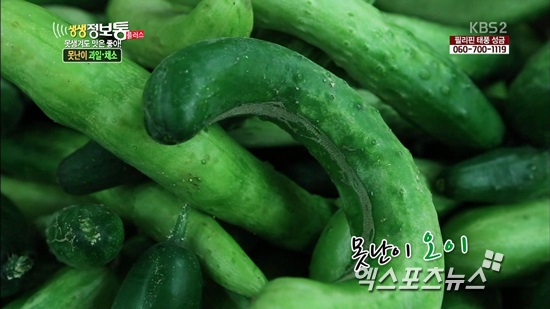모참치 이미지