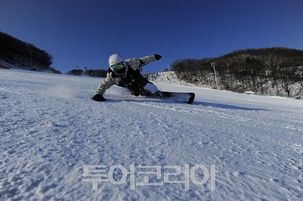 야호 이미지