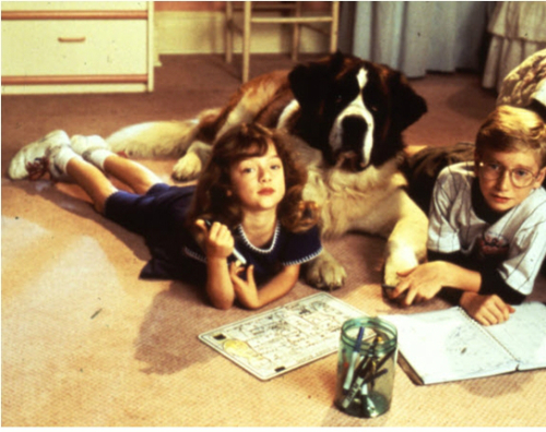 강아지 품종별 성격