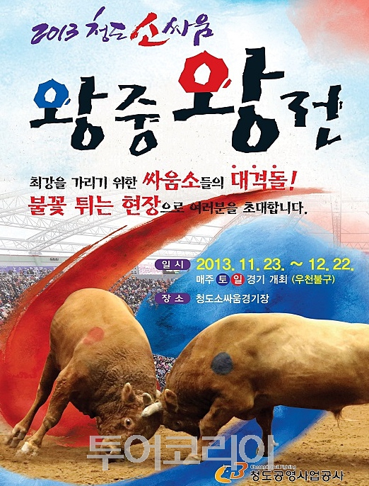 소싸움 이미지