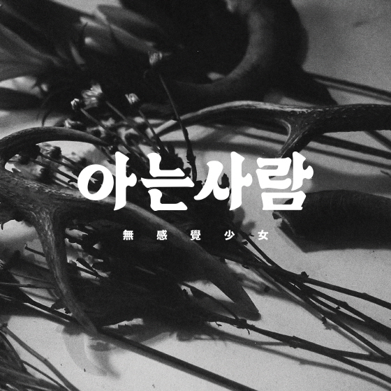 무감각 이미지