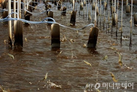 (주)네오엔비즈 이미지
